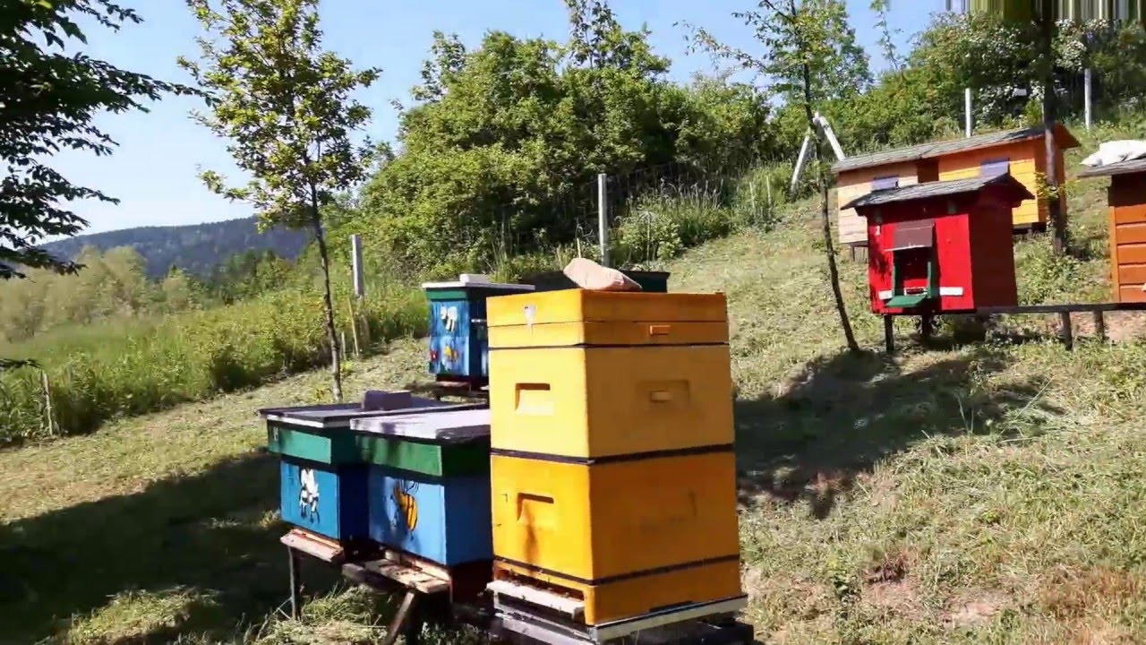 Kraina Krainki Dobrej