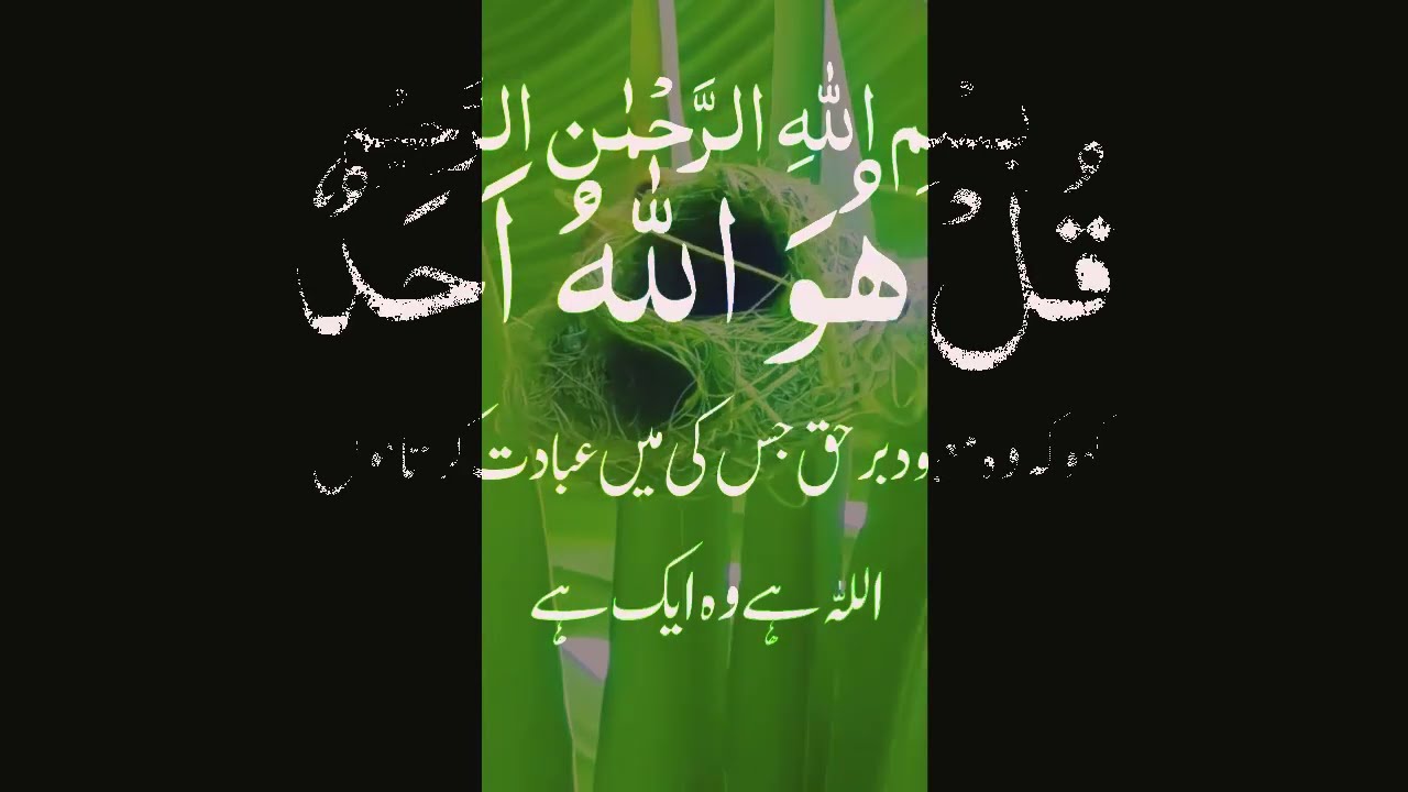 Path of peace