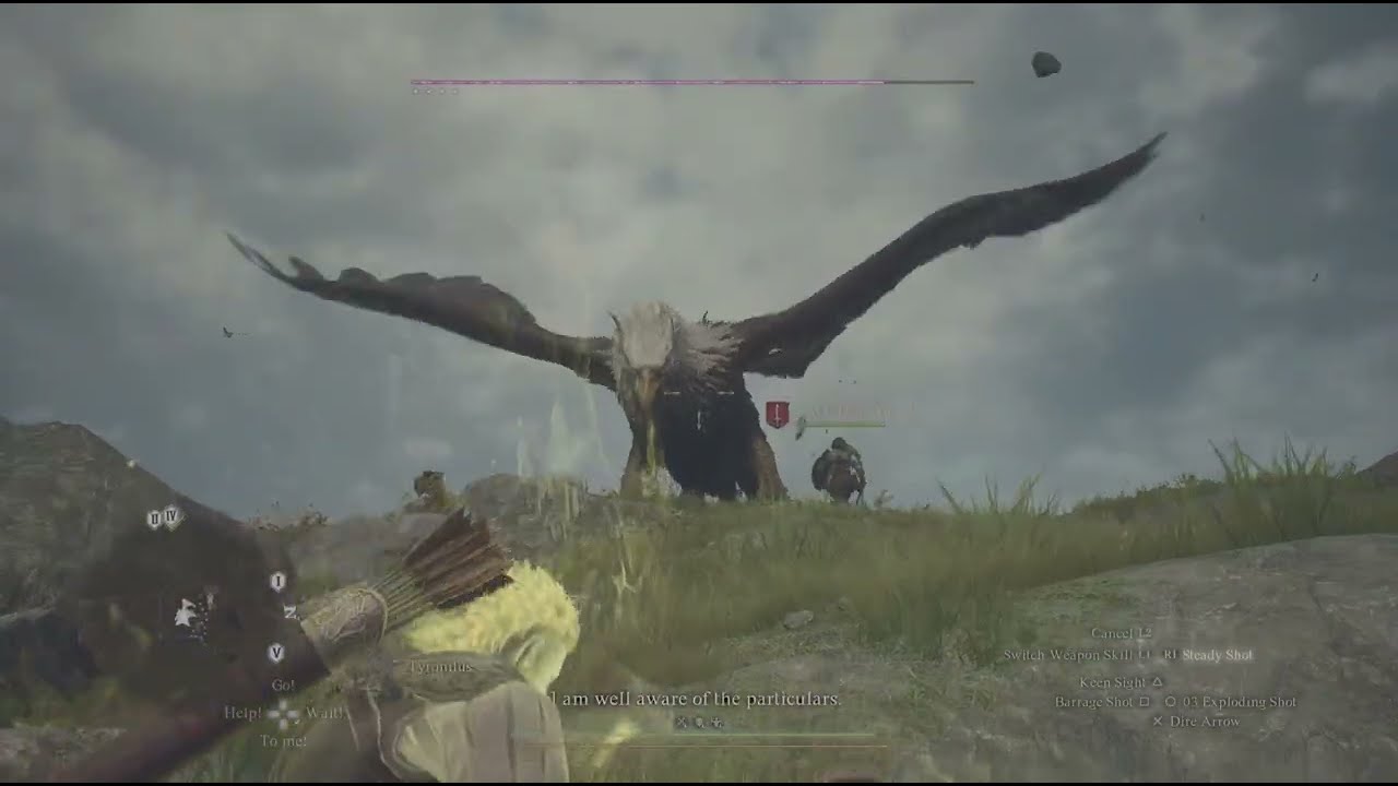 Dragon's Dogma 2 #gaming