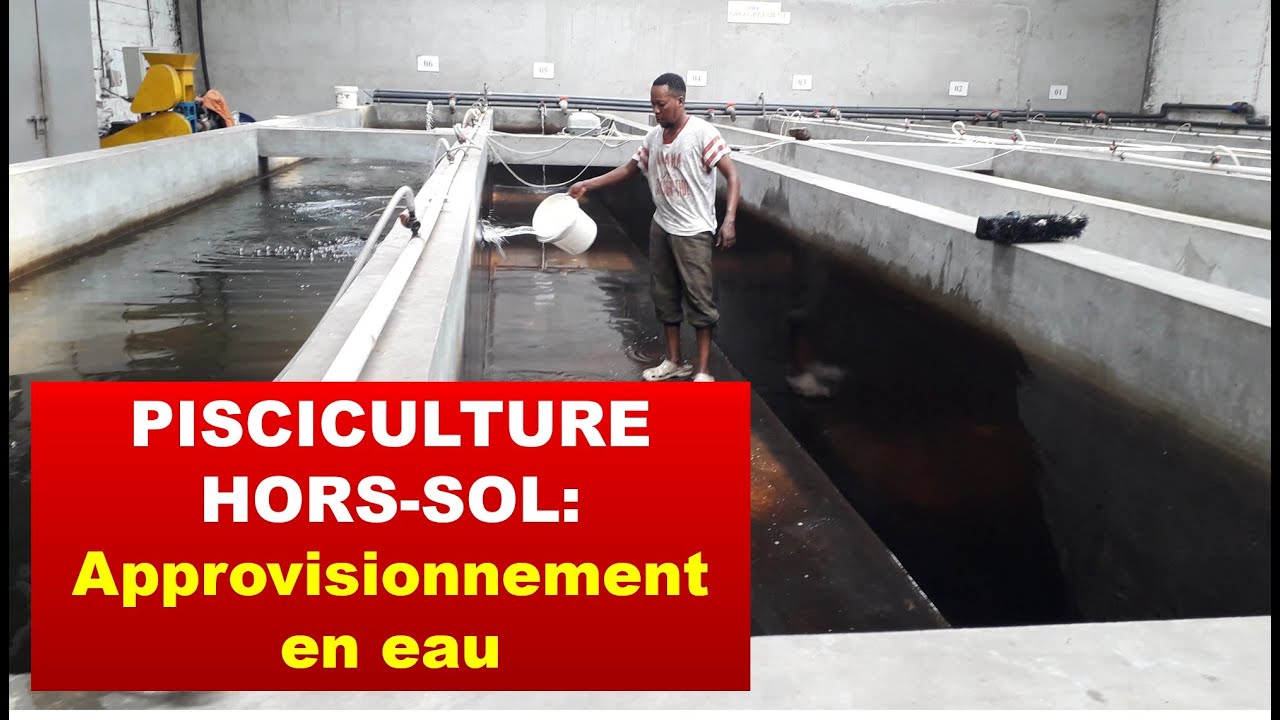 Pisciculture hors-sol: Approvisionnement en eau (en image)