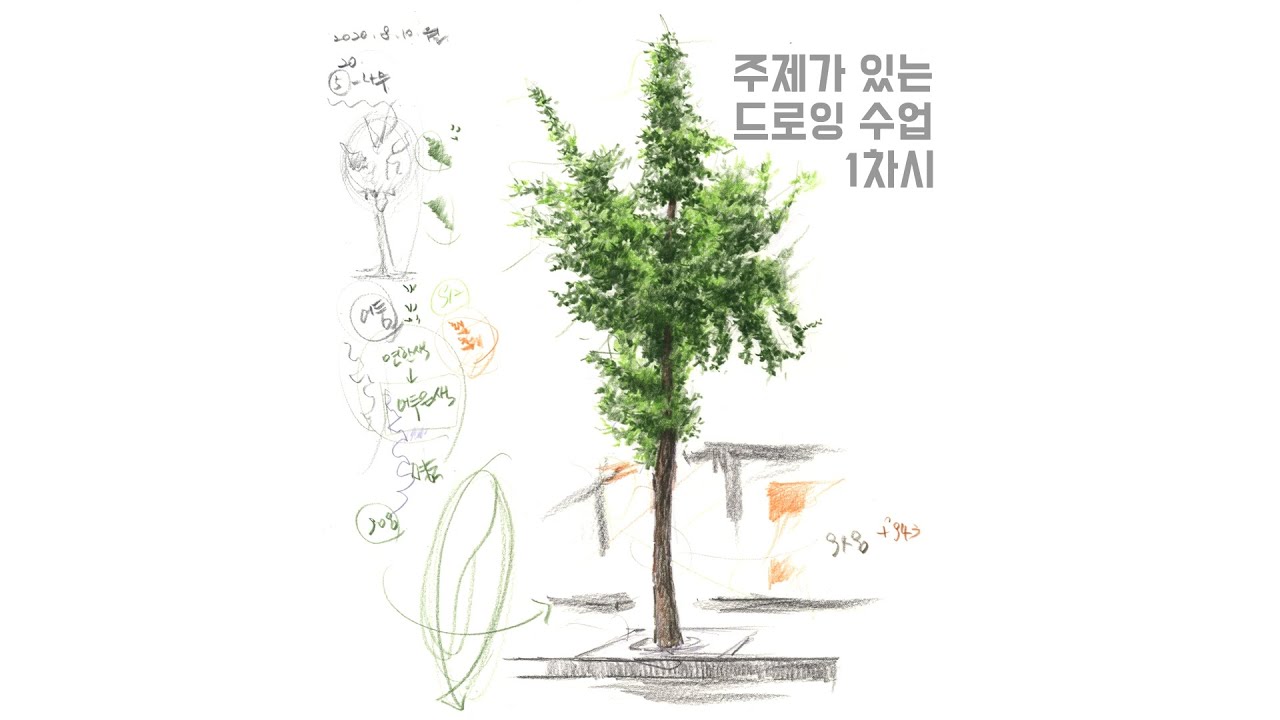 색연필로 그리는 주제가 있는 드로잉 1차시(가로수 그리기)
