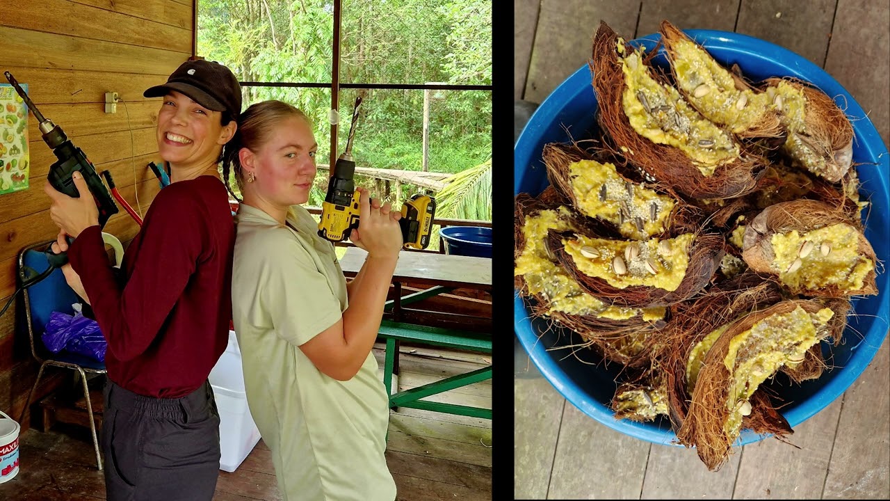 The Great Projects - Group 1 volunteers Nyaru Menteng, Borneo, April 2025