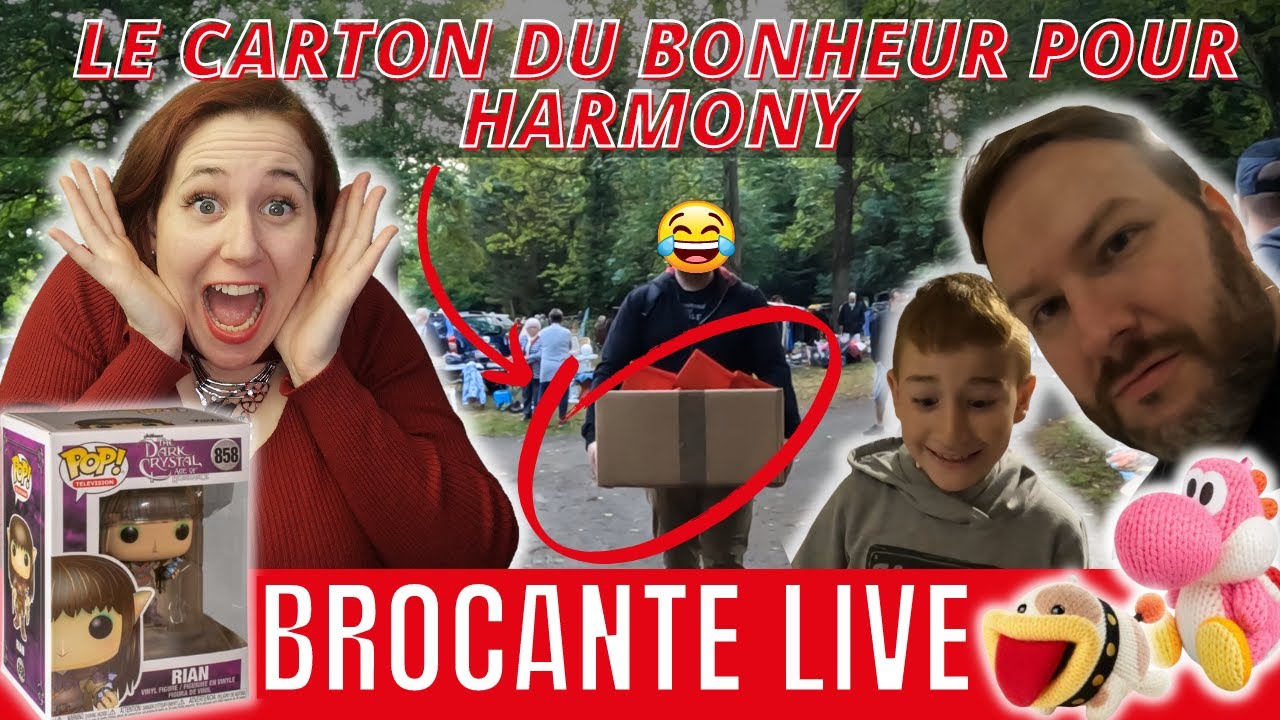 😂 il lui en faut peu BROCANTE VIDE GRENIER LIVE VLOG MANGA Jeu vidéo fugurine jouet POP 😍 AMIIBO 😍