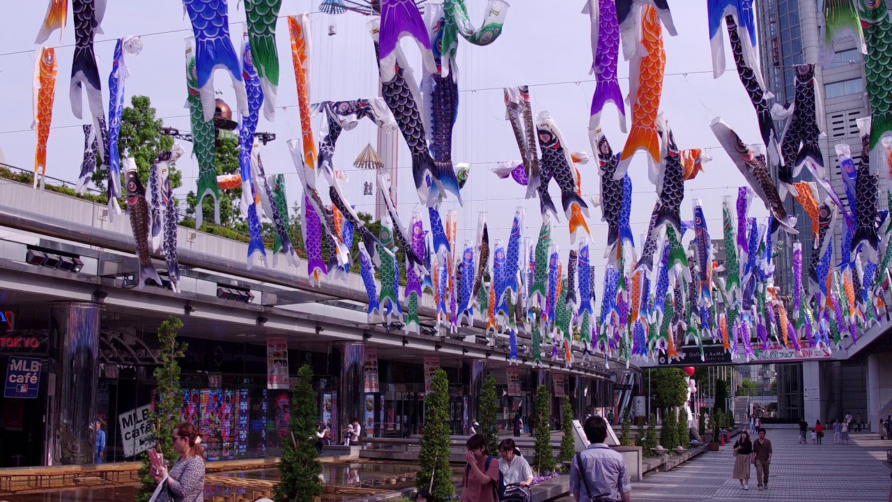 【4K】Do you know Japanese carp streamer?