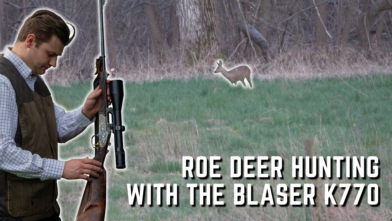 De laatste reegeit van het afschot