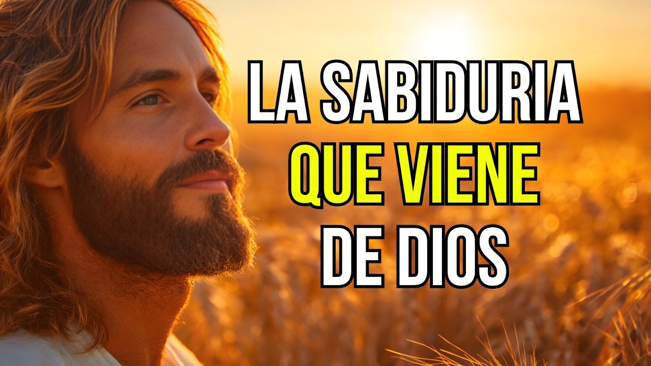 The Wisdom That Comes From God - Reflection
