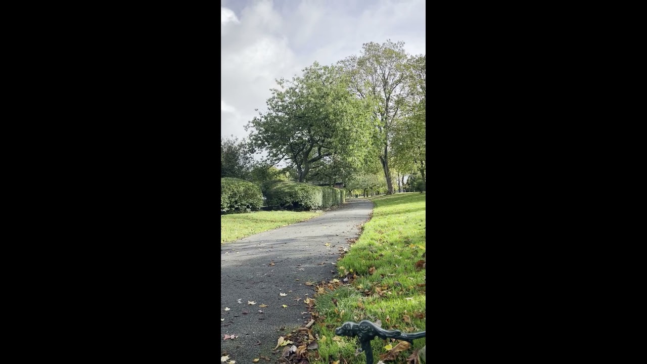 첫 마음 The First Heart - Hwang Puha (autumn leaves edition)