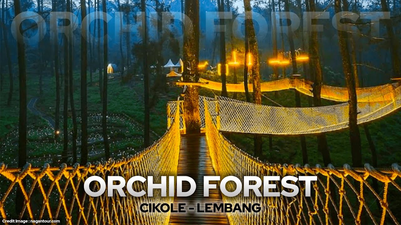 SURGA ANGGREK & HUTAN PINUS! Review LENGKAP Orchid Forest Cikole Lembang: Harga Tiket, Spot Foto dll