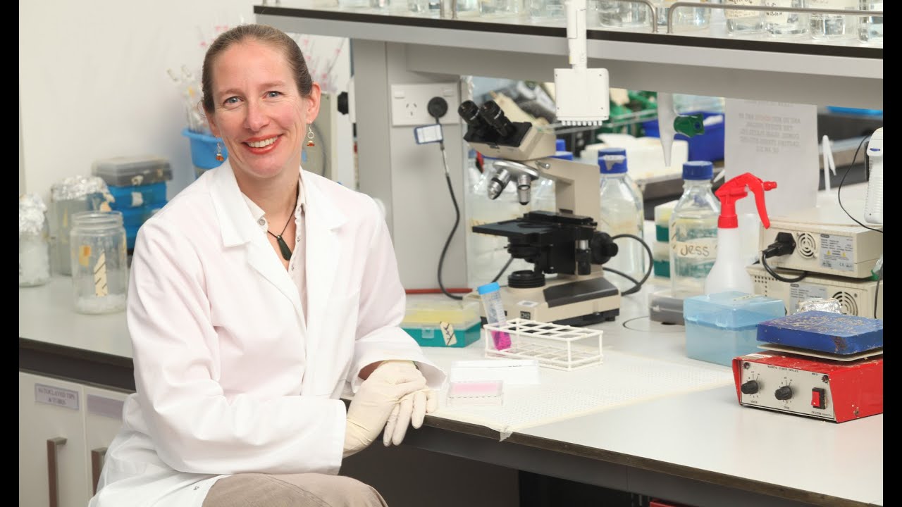 Digital Discovery: multiple sclerosis and the brain