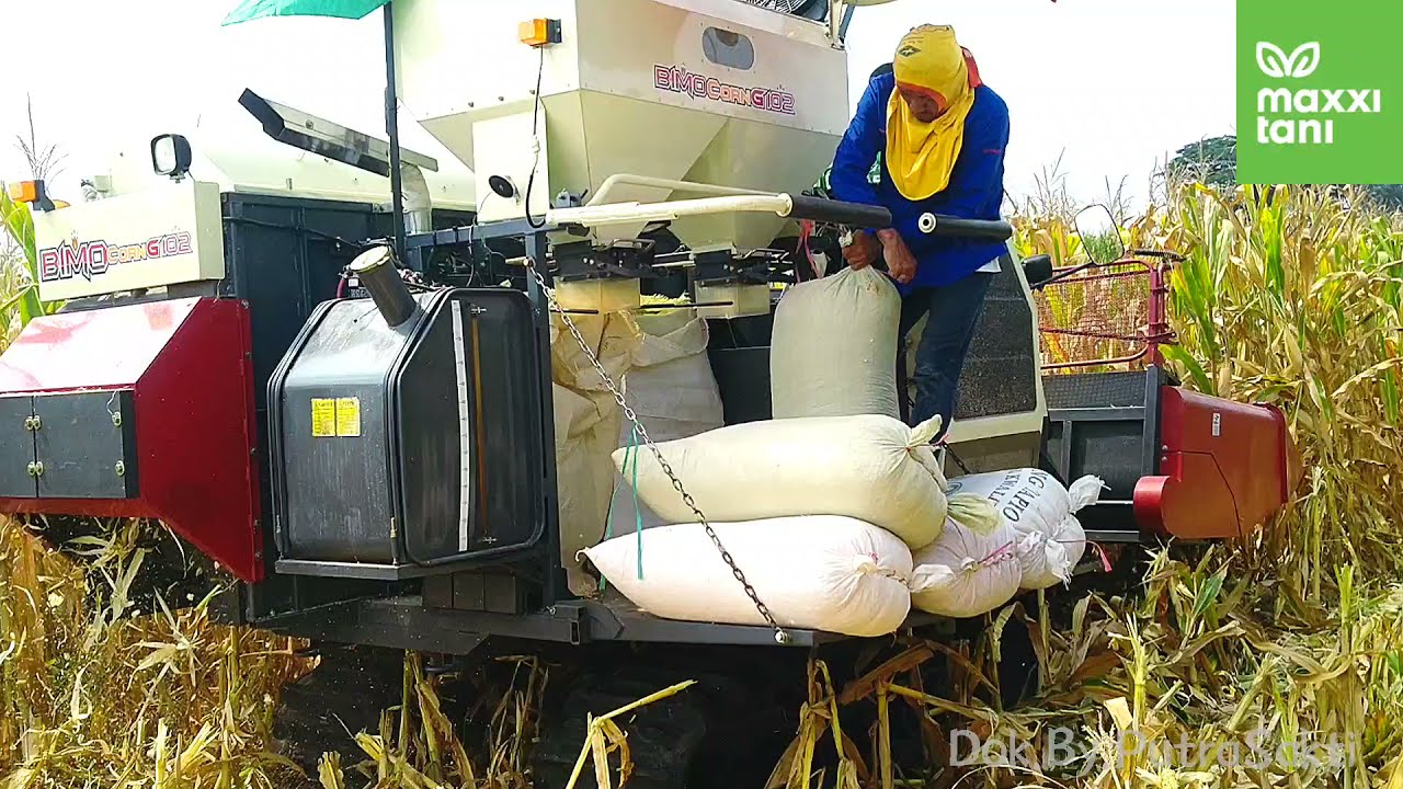 PANEN JAGUNG DENGAN MESIN COMBINE CORN G-85 CORN G-102 | MAXXI TANI