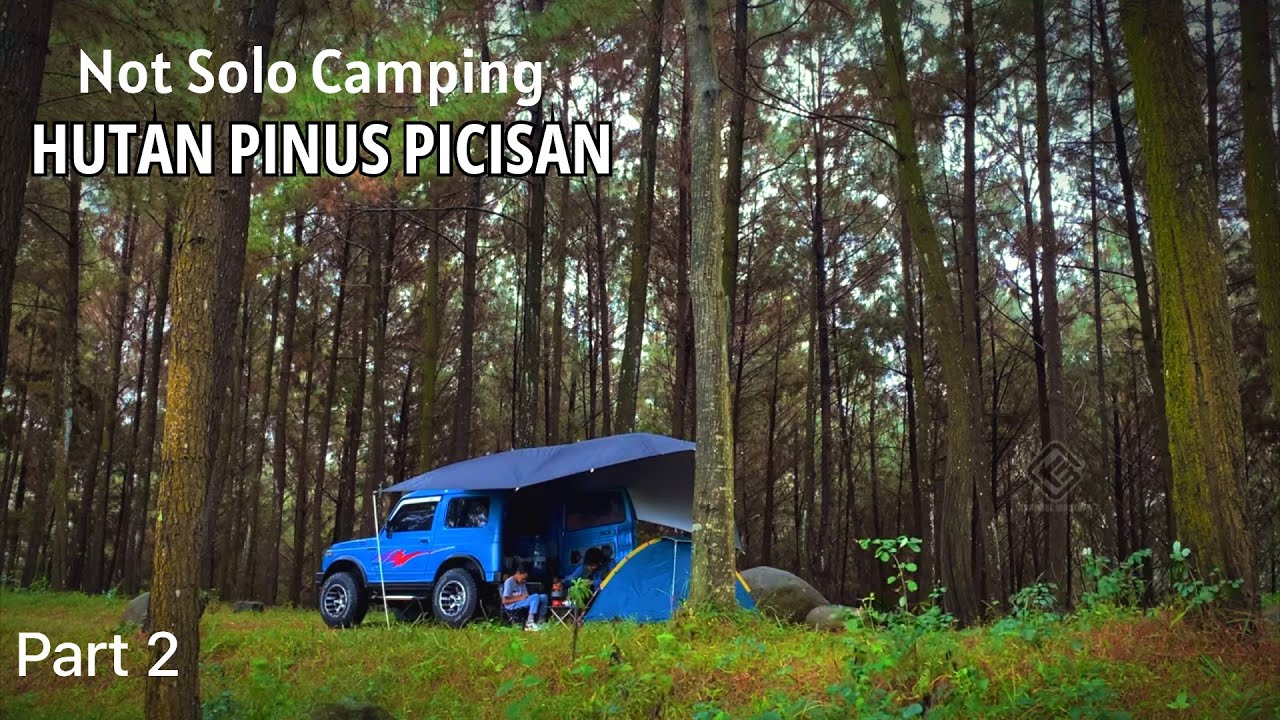 NOT SOLO CAMPING | CAMPING KATANA JIMNY SJ410 DI HUTAN PINUS - PART 2