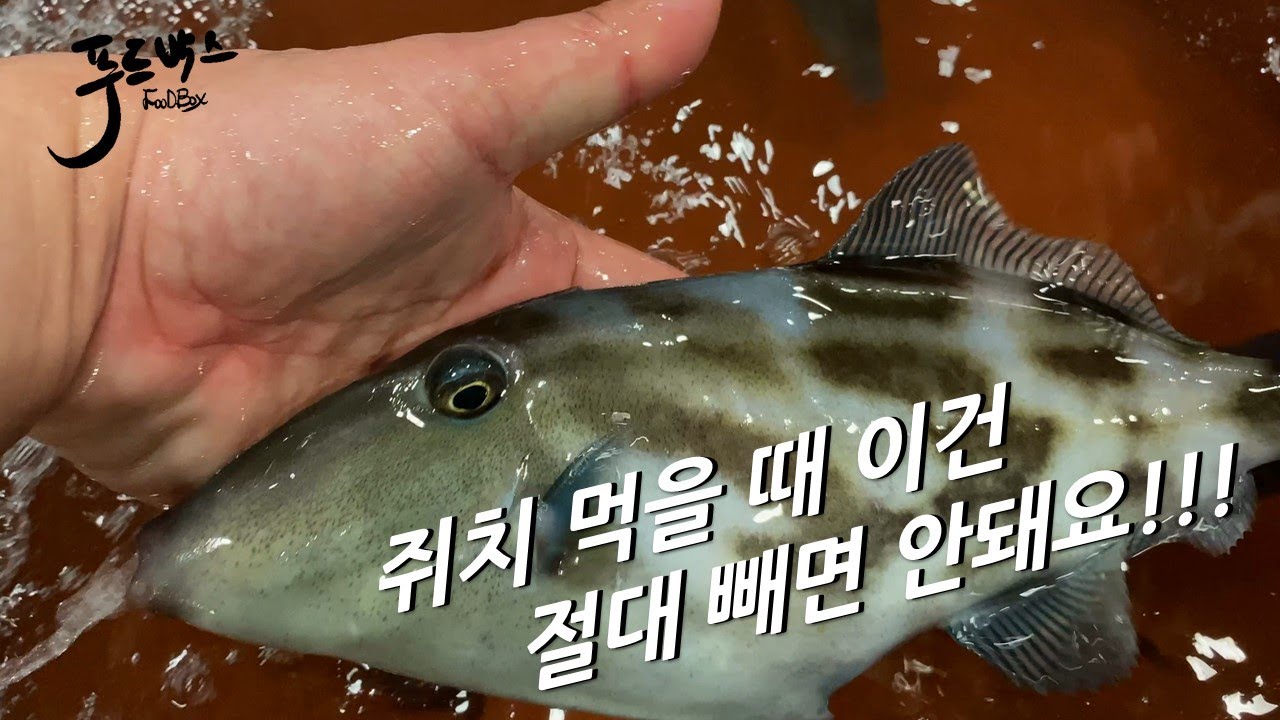 쥐치는 꼭 이거랑 같이 먹어야 해요 !!!