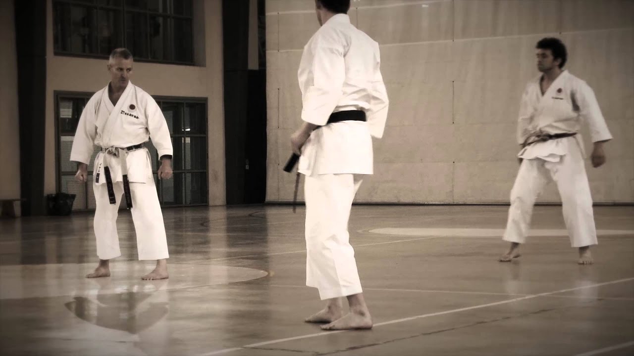 Exhibición Bunkai Kata Unsu por Sensei Luis Arraiz (Director´s Cut)