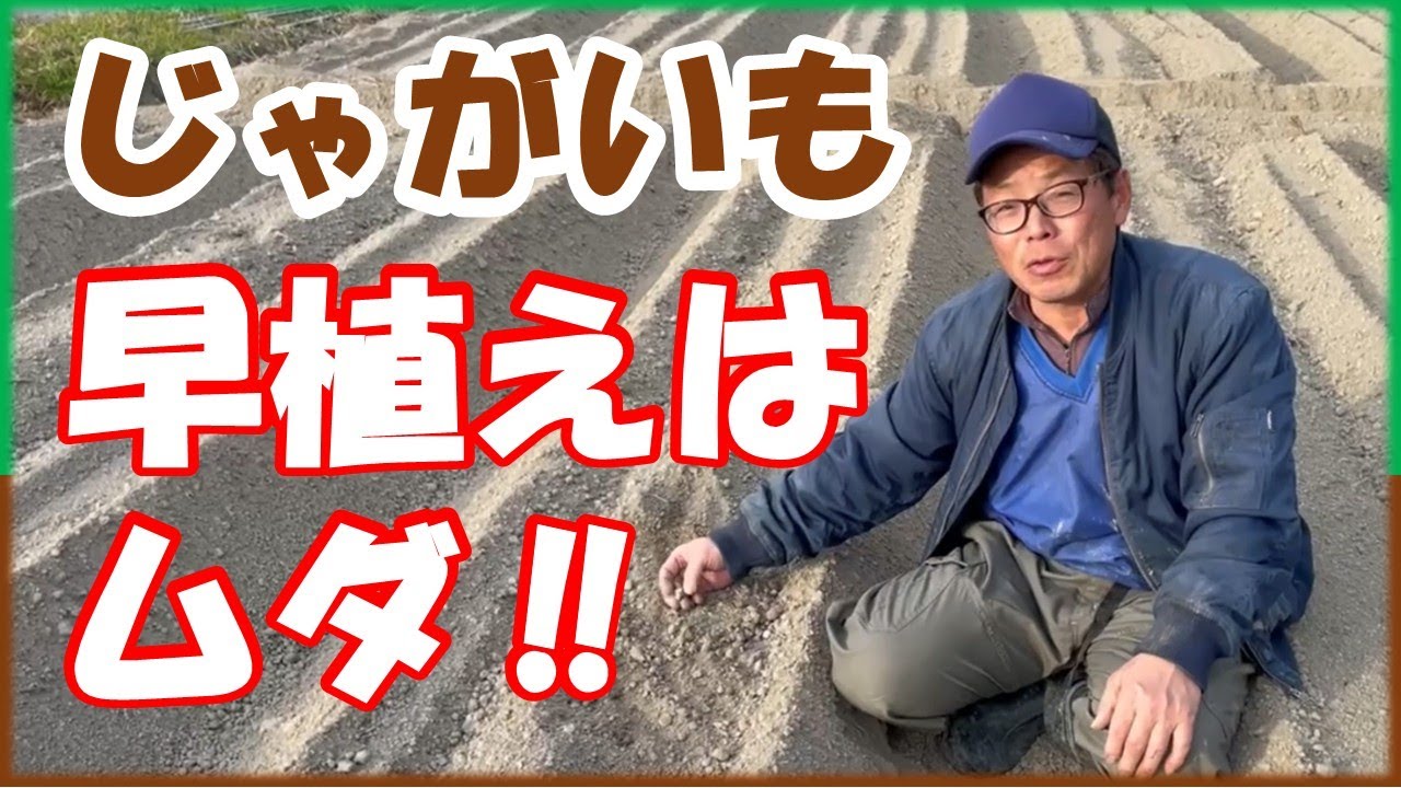 じゃがいも、早く植えてもムダです。温暖化なんて関係ない！