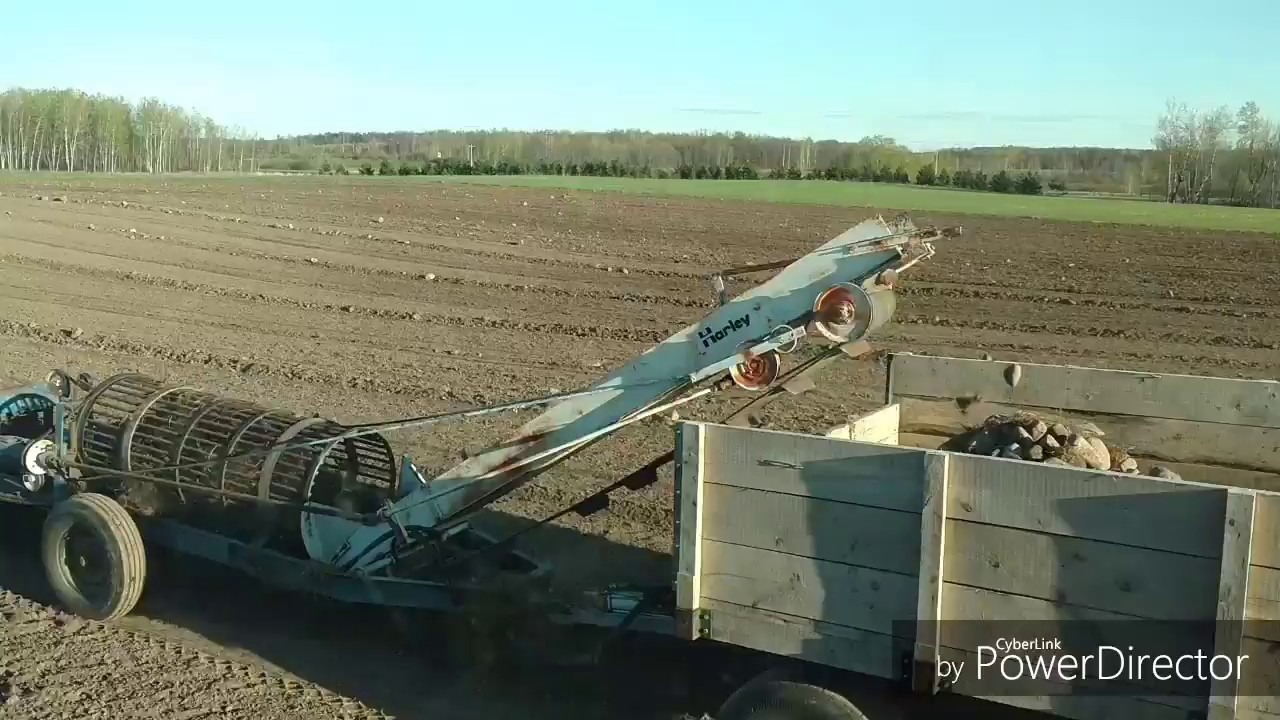 Harley Rock Picker in action
