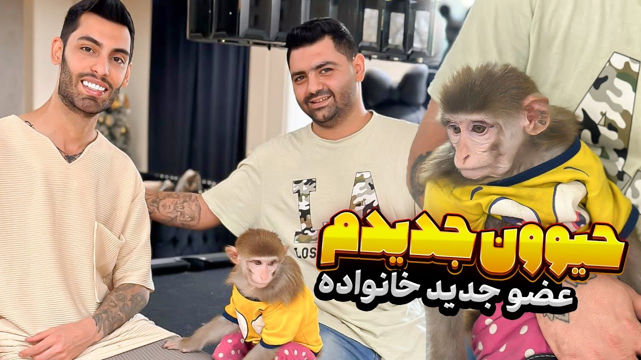 حیوون جدیدم🐒🥹عضو جدید خانواده😍