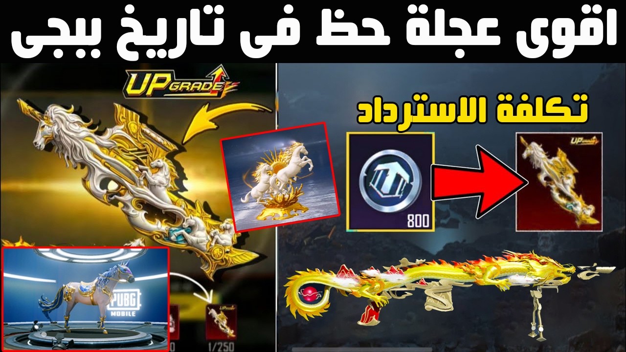 استعراض كامل لأقوى سلاح P90 قادم في ببجي 😱🔥 السعر وتكلفة الاسترداد + عودة MK14 التنين
