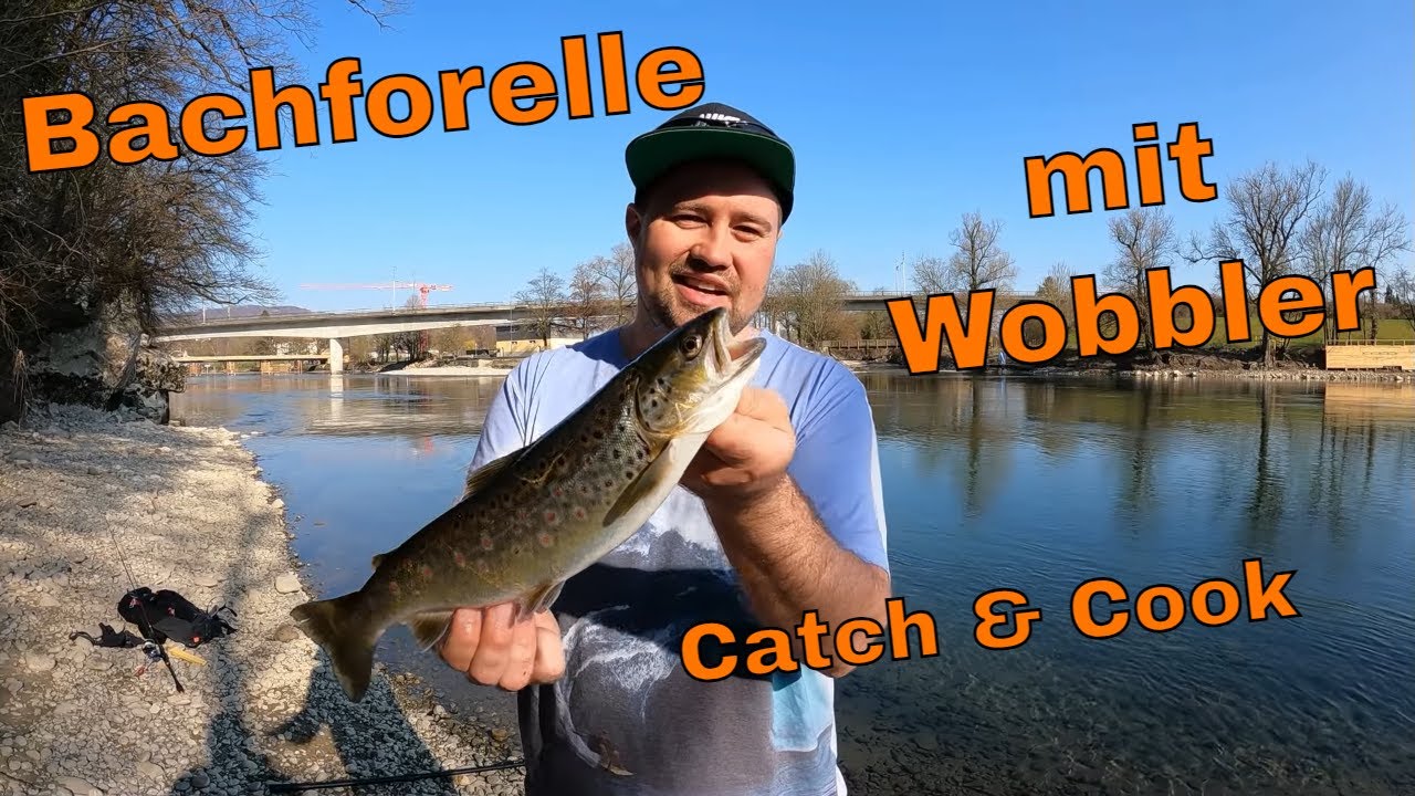 Bachforelle am Fluss fangen | Catch & Cook