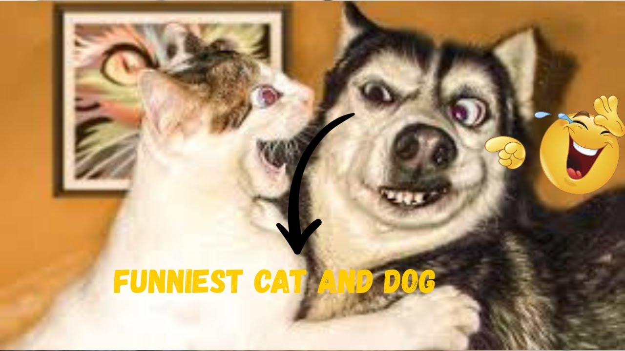 Funniest Cat and Dog Videos That Will Make You Laugh 😹🐶