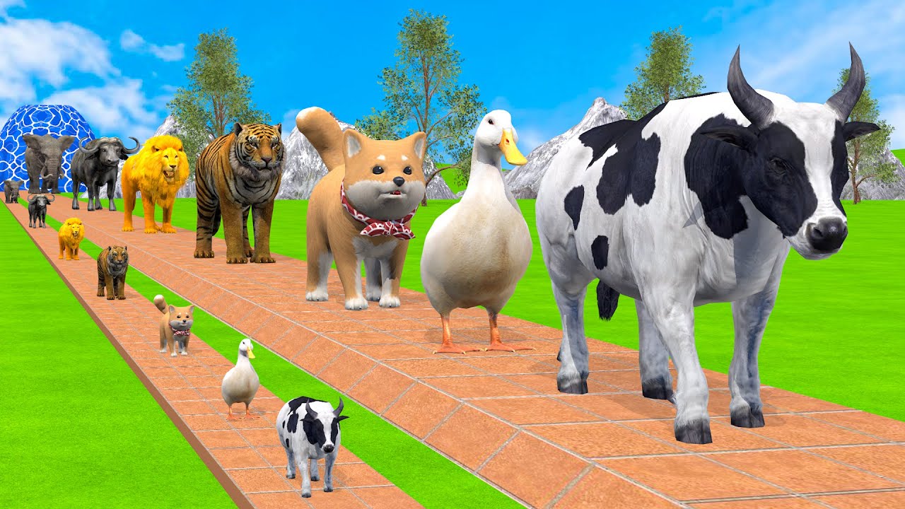 Long Slide Game With Cow Elephant Gorilla Hippopotamus Tiger 3d Animal Game Funny 3d Animals