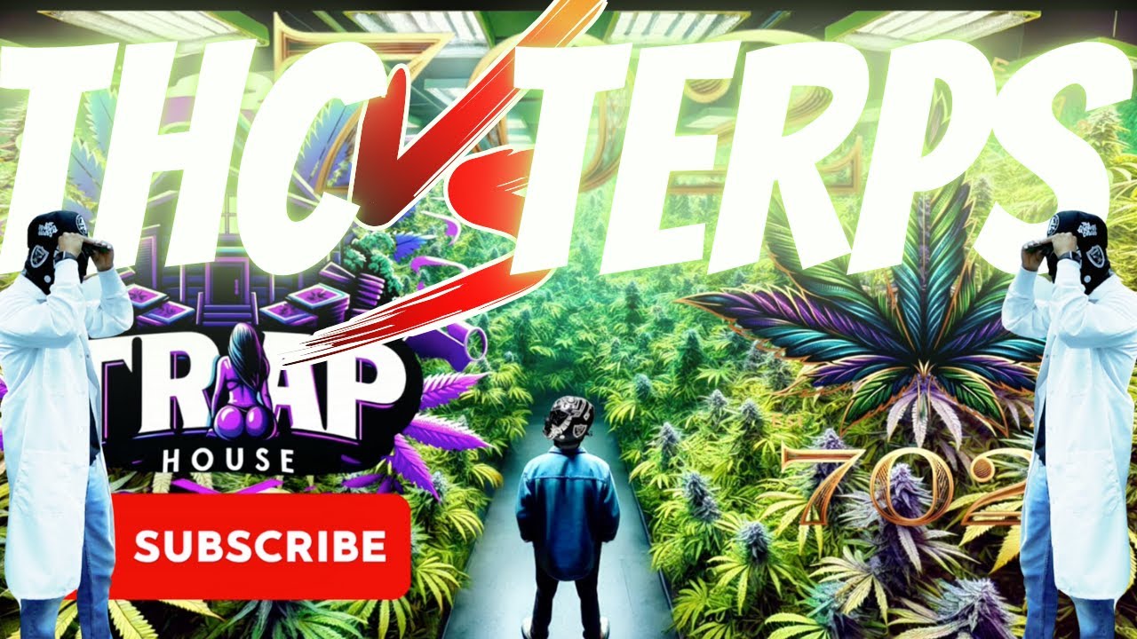 High THC vs Terpenes 🌱 | Why Some Strains Smell Fruity 🍇 and Others Like Gas ⛽