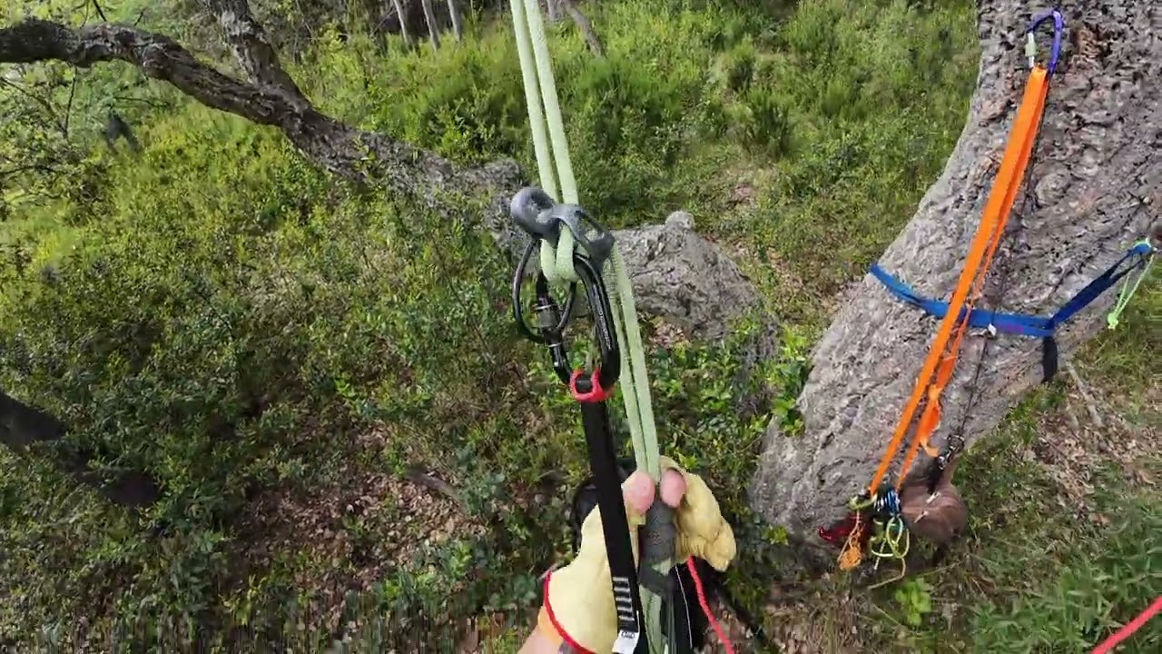 Rappel a dos cuerdas con ATC