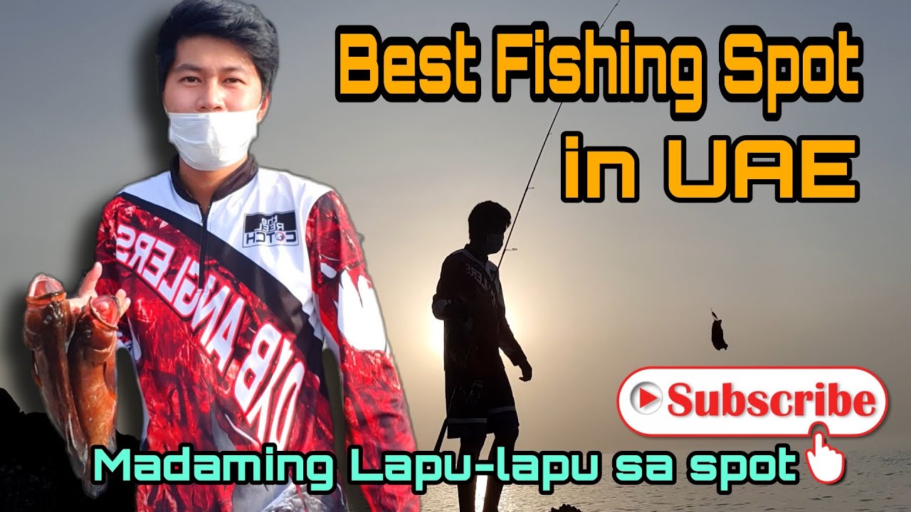 Best Fishing Spot in UAE//Red Hamour Spot.