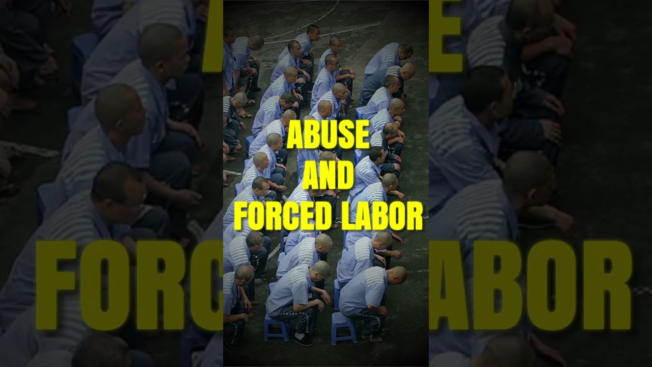 [GENOCIDE EXPOSED] What’s Really Happening to Muslims in Xinjiang – WATCH THIS!