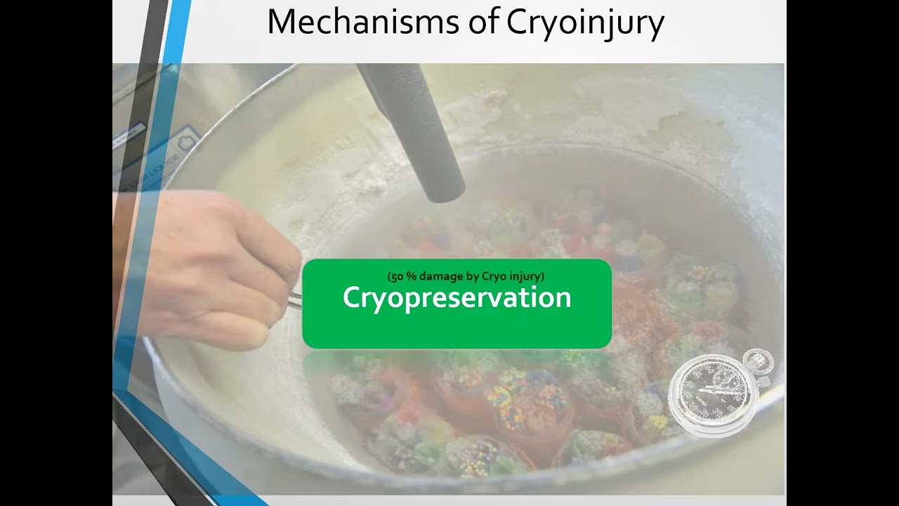 Recent Advances in Cryopreservation of Bulls Semen by Dr  Muhammad Khurram Shahzad