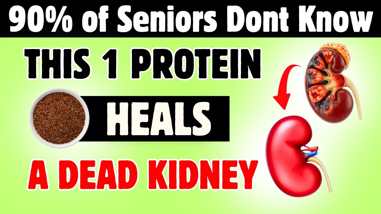 The TOP 10 Kidney SAFE Proteins to Lower Creatinine Naturally FAST | Senior Health
