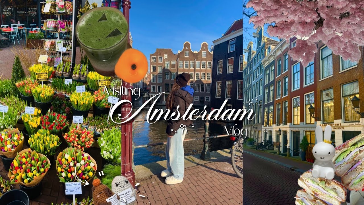 𑣲 Amsterdam vlog 🚃 : Van Gogh museum, eating lots of food, exploring, miffy shop ⊹ ࣪ ˖