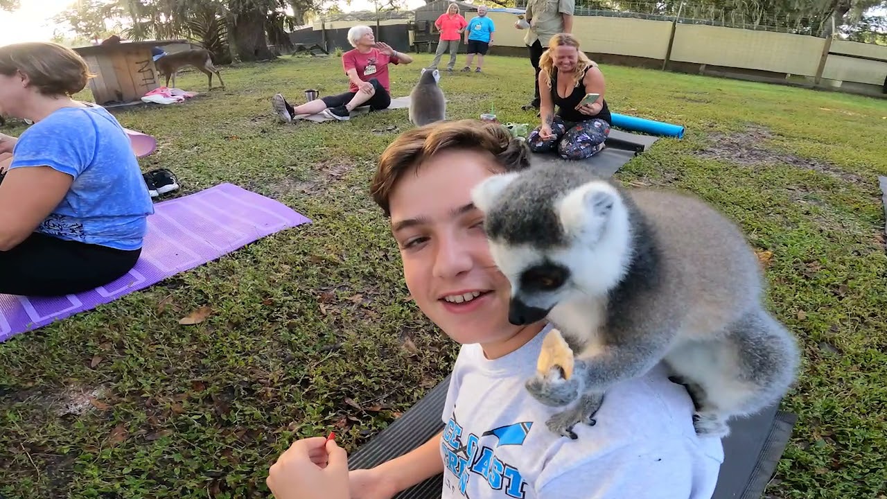Chase Animal Rescue Sanctuary in Webster, FL