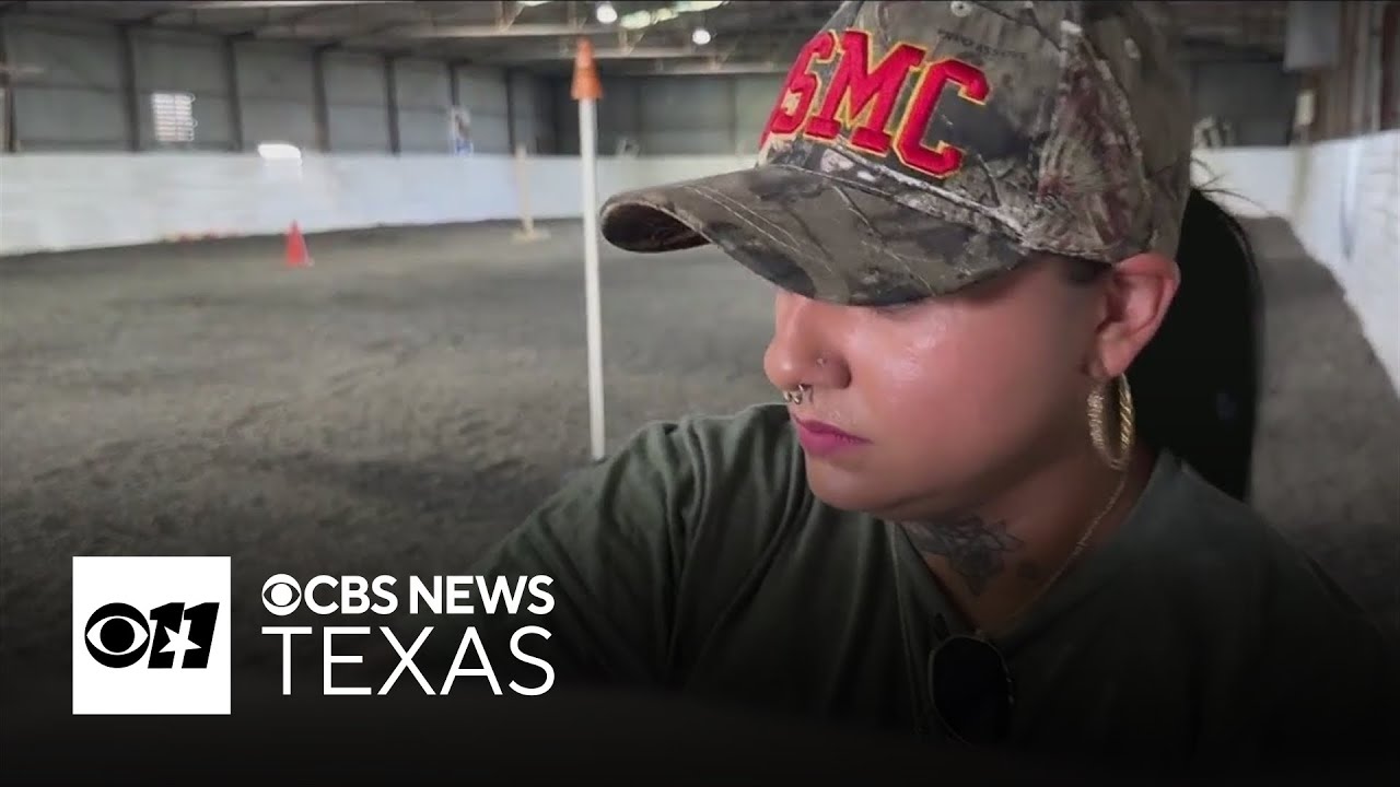 Horse therapy helps North Texas veterans heal from PTSD