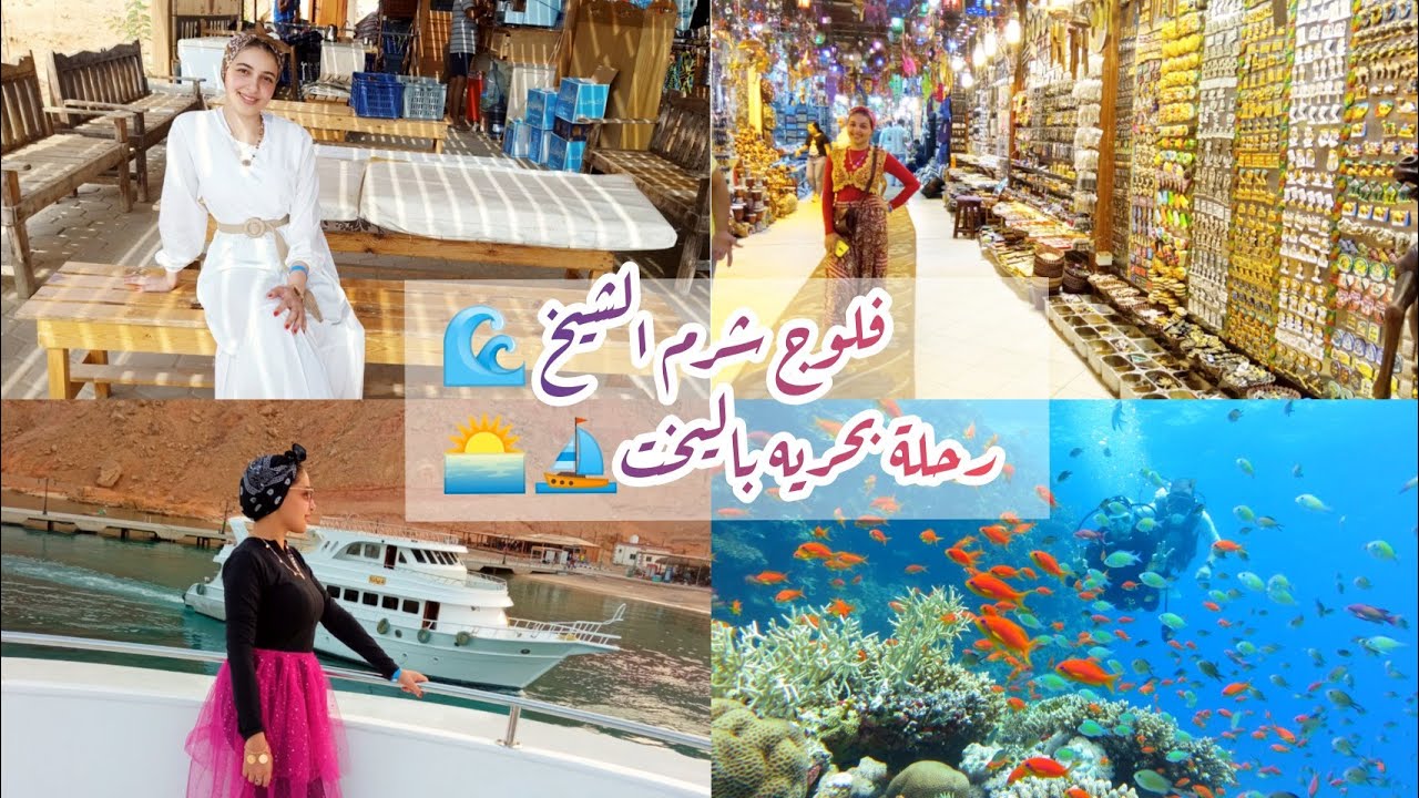 فلوج✨ أكتر يوم استمتعنا فيه في #شرم_الشيخ ﴿رحلة بحريه باليخت ⛵شارع خليج نعمه ❤️🥰﴾