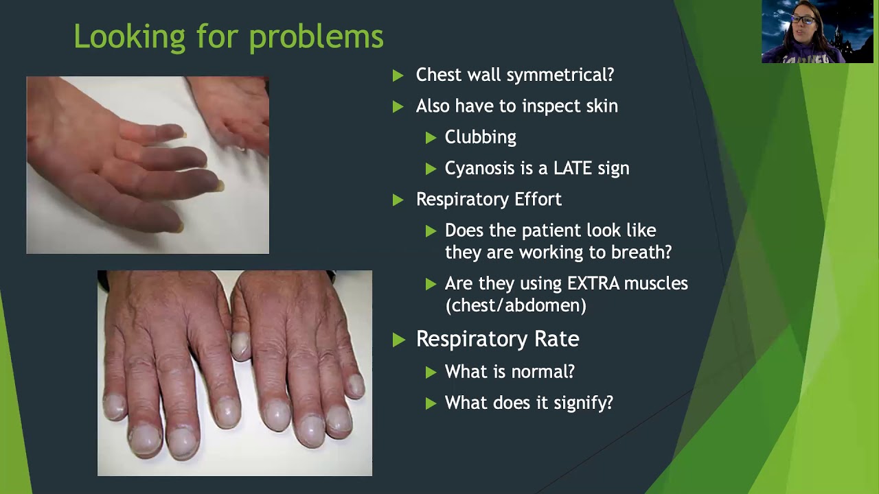 Med-Surg: Respiratory Assessment