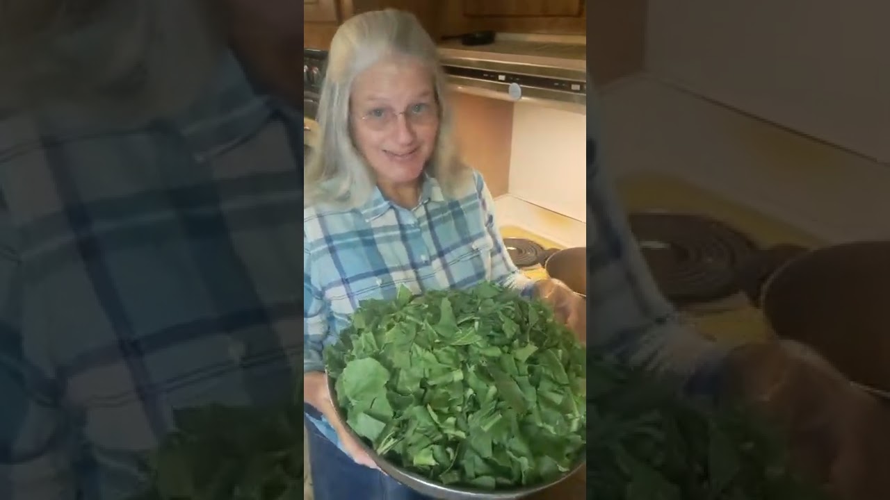 How to cook fresh turnip greens.