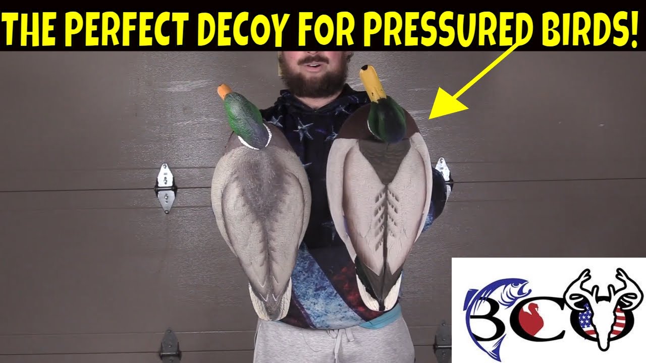 FULLY FLOCKED Live Mallards Look SO REAL You Won't Believe!