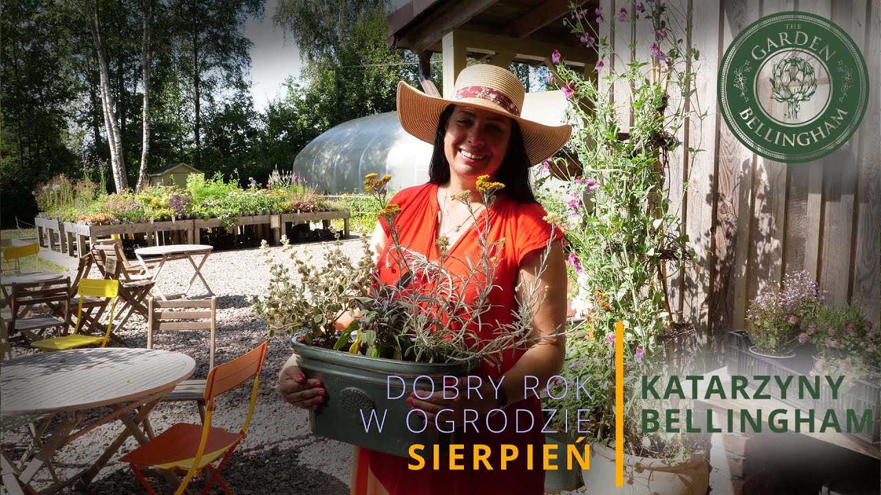 🌸Rabaty preriowe – pełnia barw i życia 🌿Dobry rok w ogrodzie. Sierpień 2025 odc.2