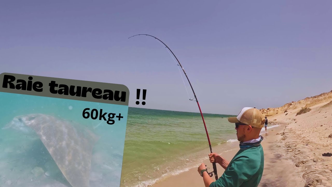&Eacute;norme poisson du BORD ! D&eacute;couverte et p&ecirc;che au MAROC !