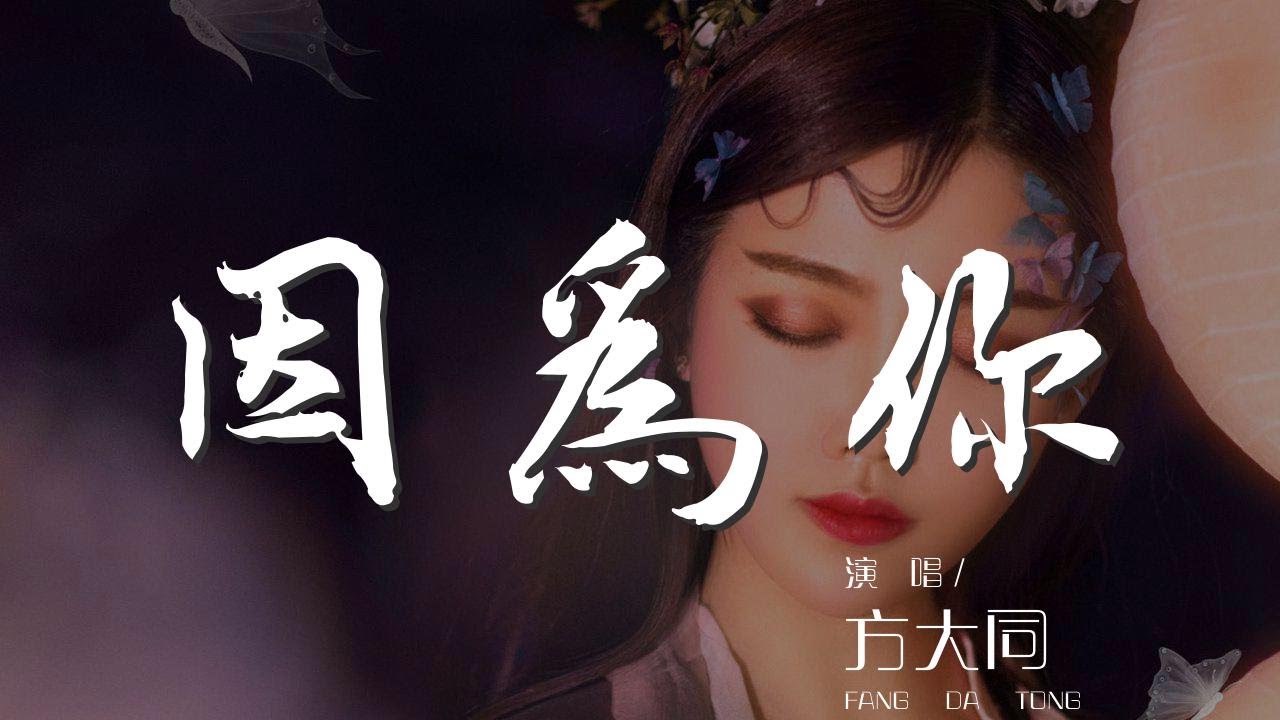 因爲你 - 方大同『也許是因爲有人不放棄』【動態歌詞Lyrics】