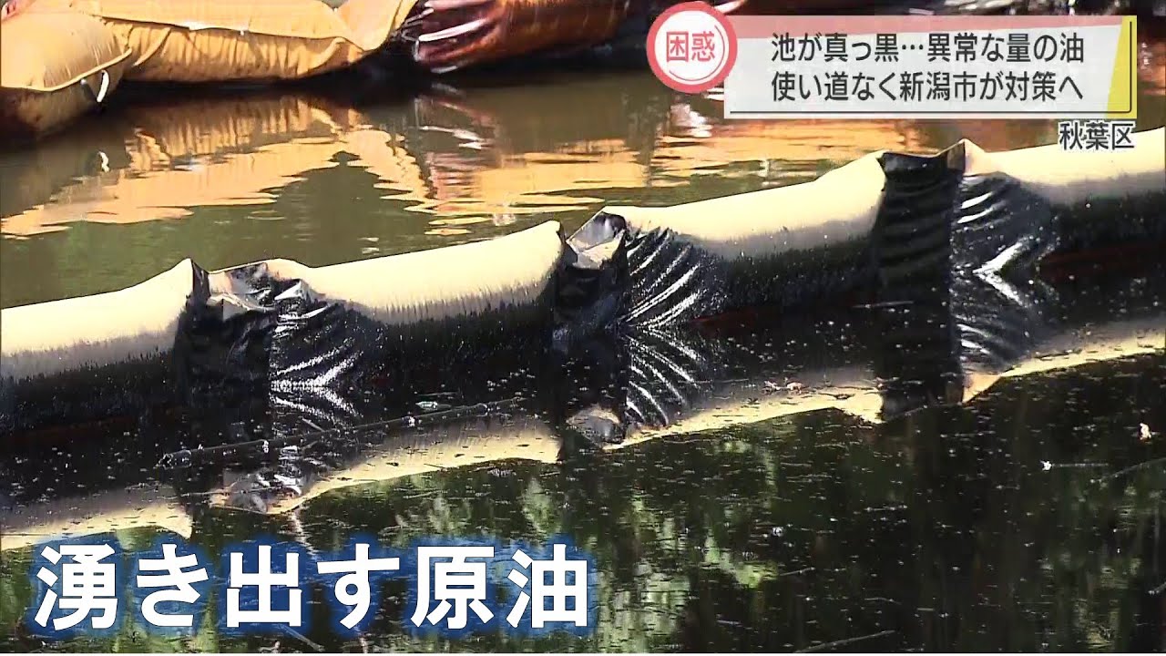 【困惑！池が真っ黒】湧き出す原油･･･新潟市が対応に苦慮 ＊2021年9月放送