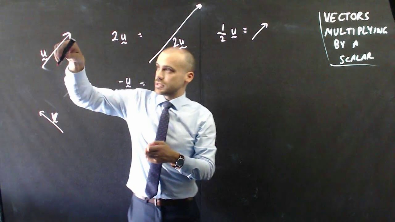 Vectors Multiplying by a scalar