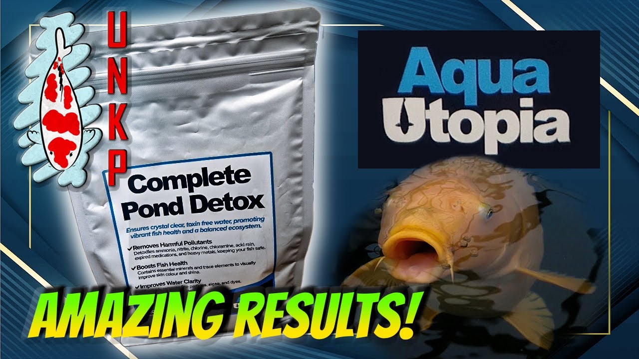 COMPLETE POND DETOX - Is Aqua Utopia's product the REAL deal?