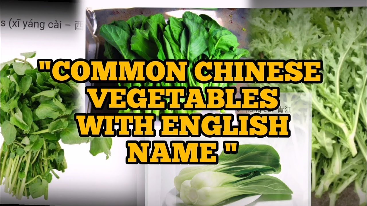 ❤️CHINESE VEGETABLES WITH ENGLISH NAME #ChineseVegetablesName #chararatblog #chineseengleshvegatable
