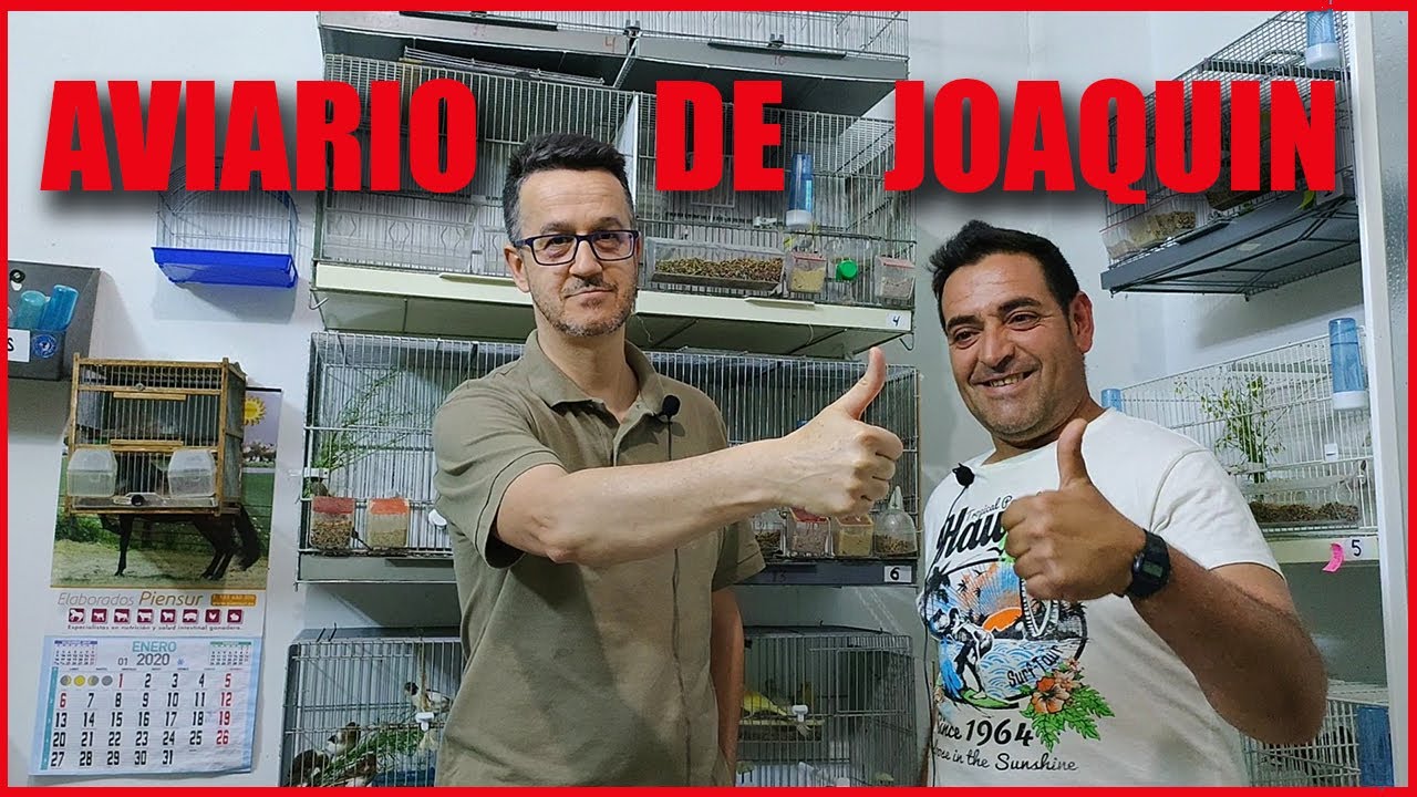 VISITANDO AVIARIOS (AVIARIO JOAQUÍN)