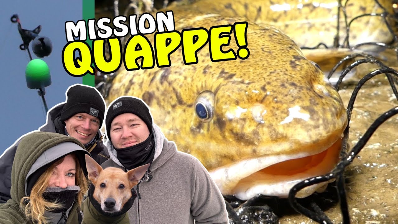 Erfolgreich auf QUAPPE an der Oder! K&ouml;fi vs. Tauwurm! OSA in Mission Allround Angeln