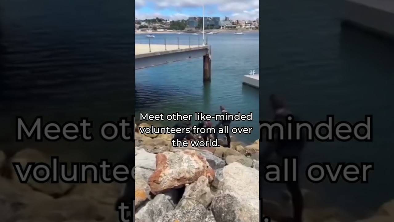 Dive into Marine Conservation in Lisbon, Portugal! 🐠 # #goeco #portugal #marinelife