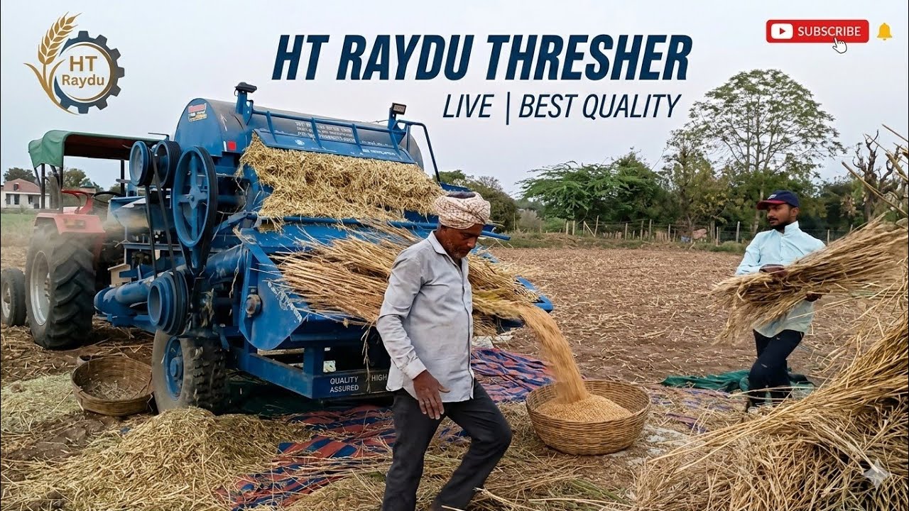 (Raydu) Thresher Live |Best Quality Today (Kheti Ki Duniya) (खेती की दुनिया)