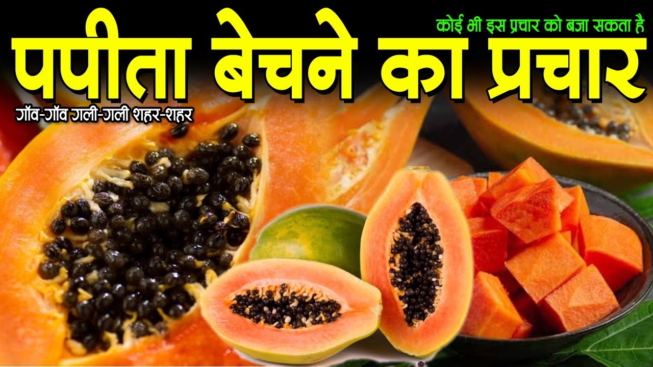 पपीता बेचने का प्रचार,papita bechne ka prachar, papita bechane ka prachar, papita bechne ki prachar