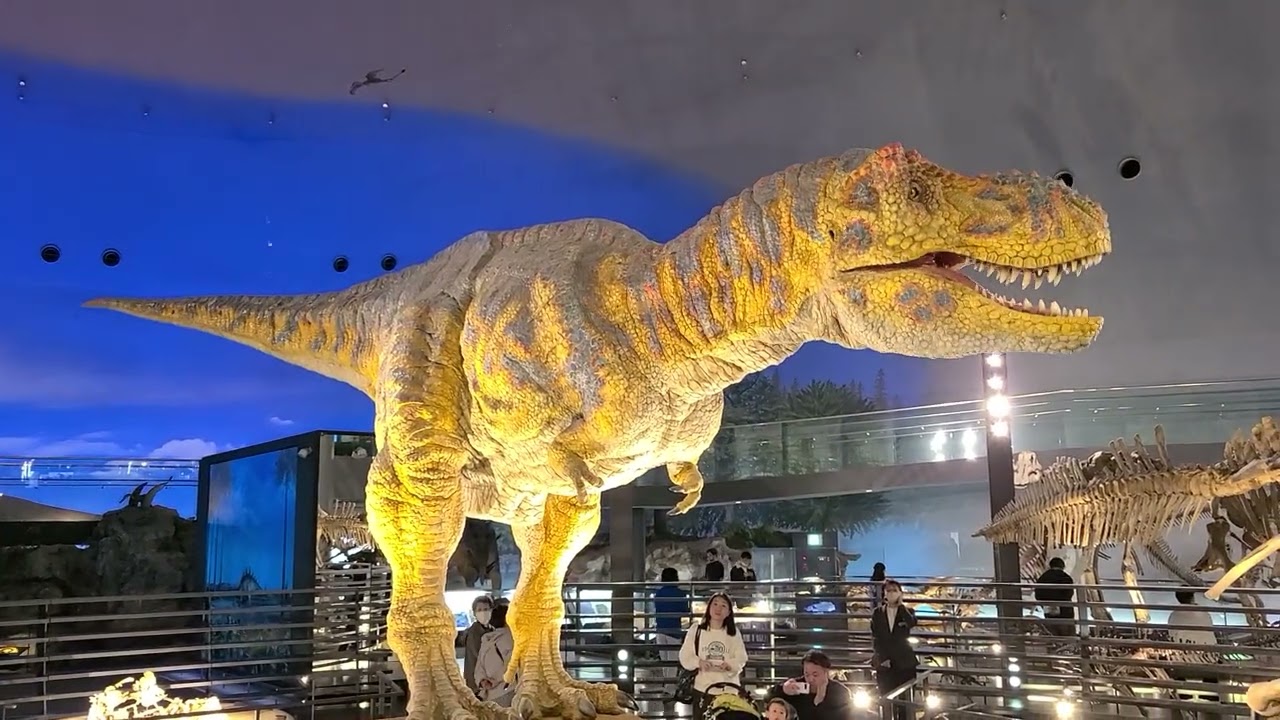 恐竜博物館 ティラノサウルス ロングバージョン2025.4.7